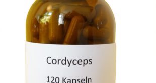 Cordyceps kaufen